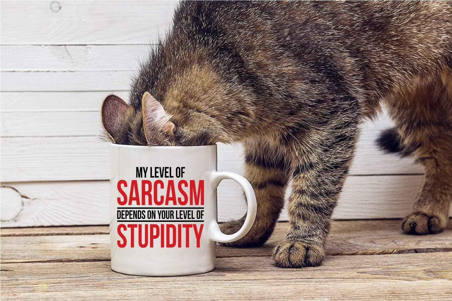 My Level Of Sarcasm Depends on Funny Ceramic Sarcastic, Inspirational Desk Decor For the Office Coffee Mug, Best Boss Gag Novelty For Women Men - 11oz - White