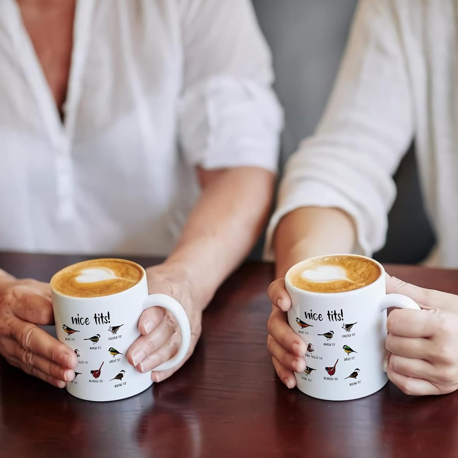 Nice Tits Bird Mug, Funny Birds Coffee Mugs, Gifts for Bird Lovers Women Men - 11 Oz